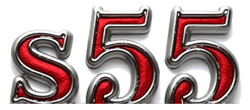s55 logo